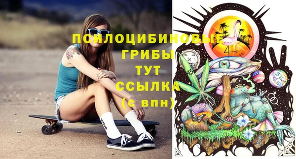 эйфоретик Абинск